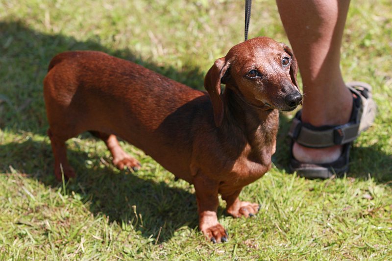 fot. ilustracyjne Michał Adamowski 