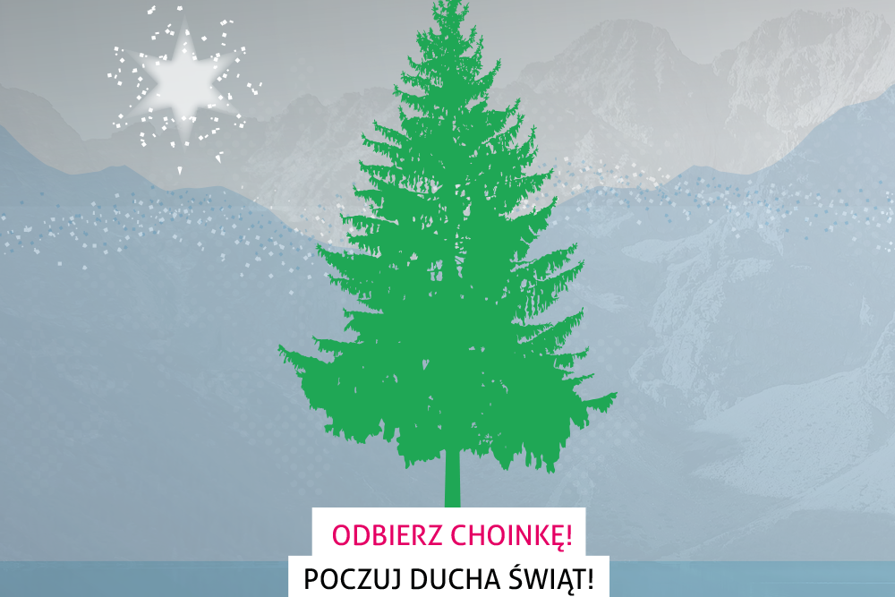 Odbierz choinkę i poczuj ducha świąt w Małopolsce