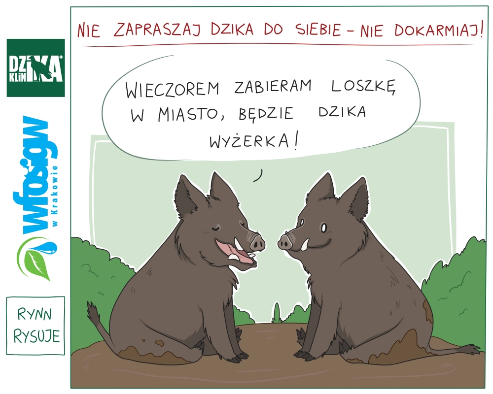 Akcja eko-Edukacja: Nie dokarmiaj dzików, to nie będą Cię odwiedzać!