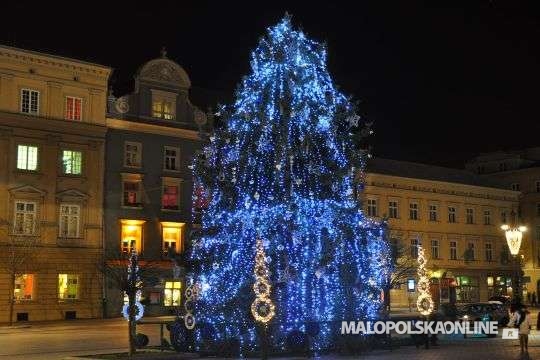 Podaruj choince drugie życie – weź udział w akcji społecznej w Krakowie