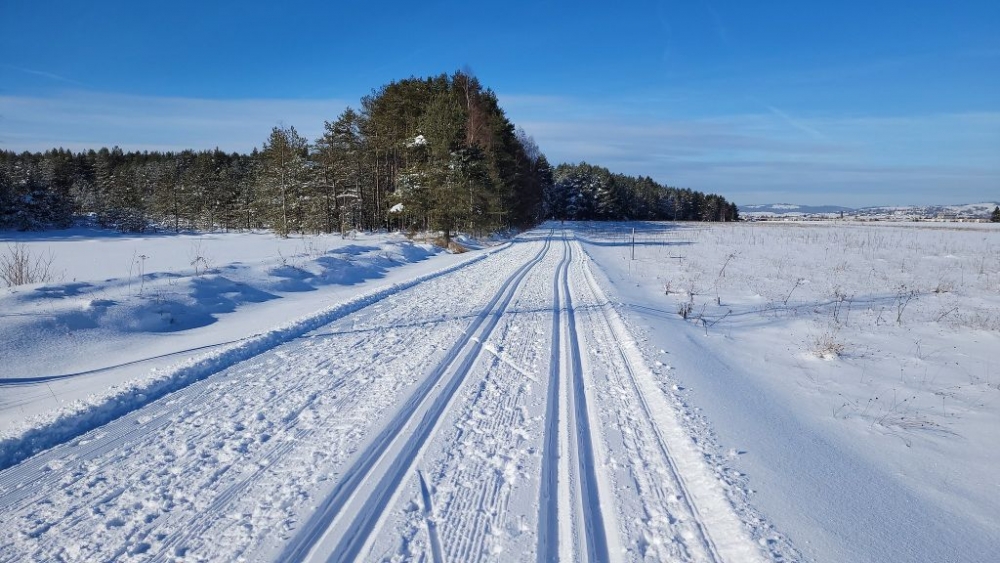 Na biegówki do Nowego Targu (zdjęcia)