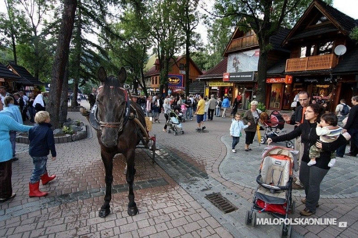 “Park Kulturowy Krupówki - posprzątajmy salon Zakopanego z chińszczyzny i reklam”