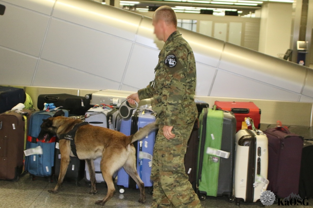 Dwie osoby ukarane i niewpuszczone na pokład