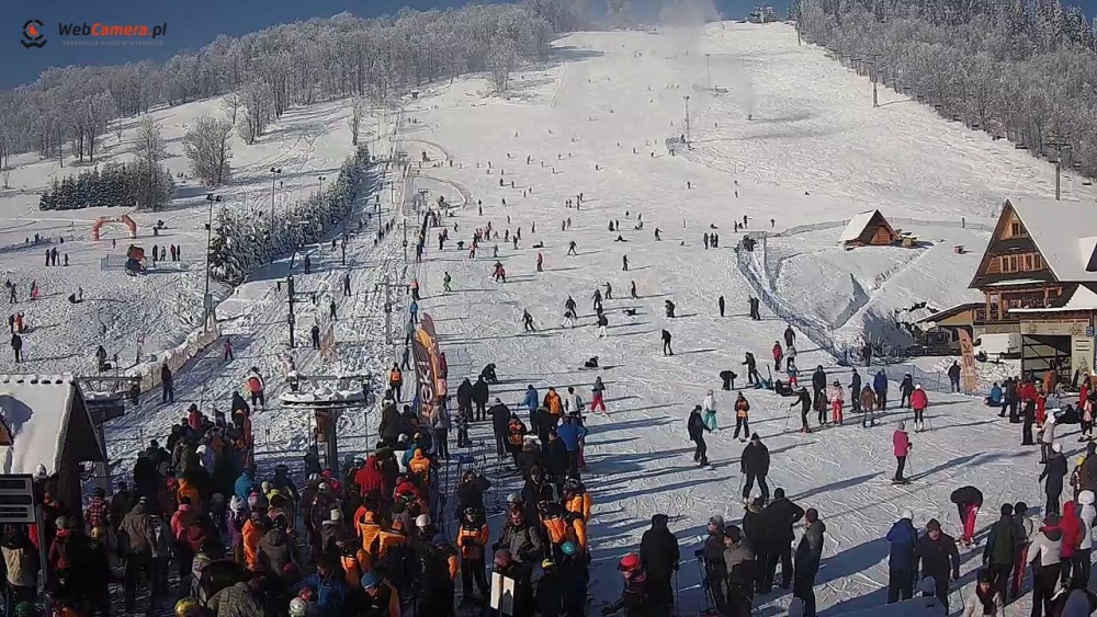 Prognoza się sprawdziła!