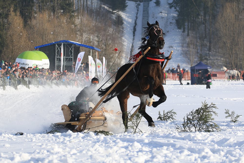 Parada Gazdowska w Szaflarach (zdjęcia)