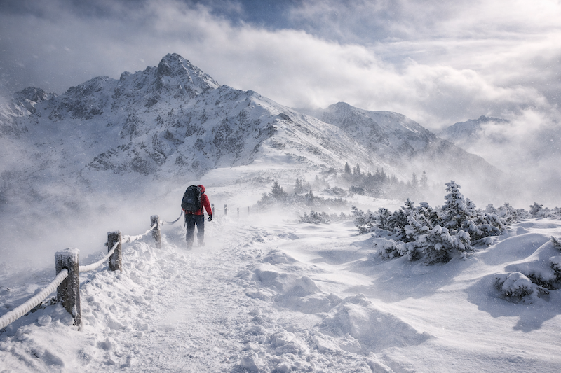 zdjęcie ilustracyjne, wai