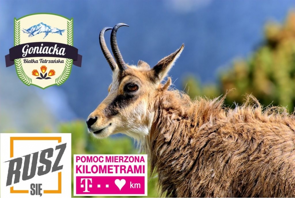 Festiwal biegowy Goniacka Białka Tatrzańska