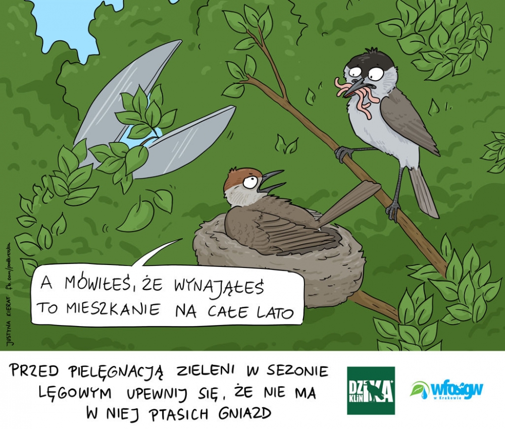 Akcja eko-Edukacja: Niebezpieczna pielęgnacja zieleni