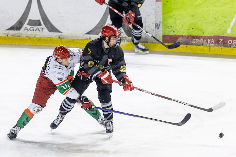 Zakończył się sezon zasadniczy Polskiej Hokej Ligi. Hitem play-off mecz GieKSy z JKH