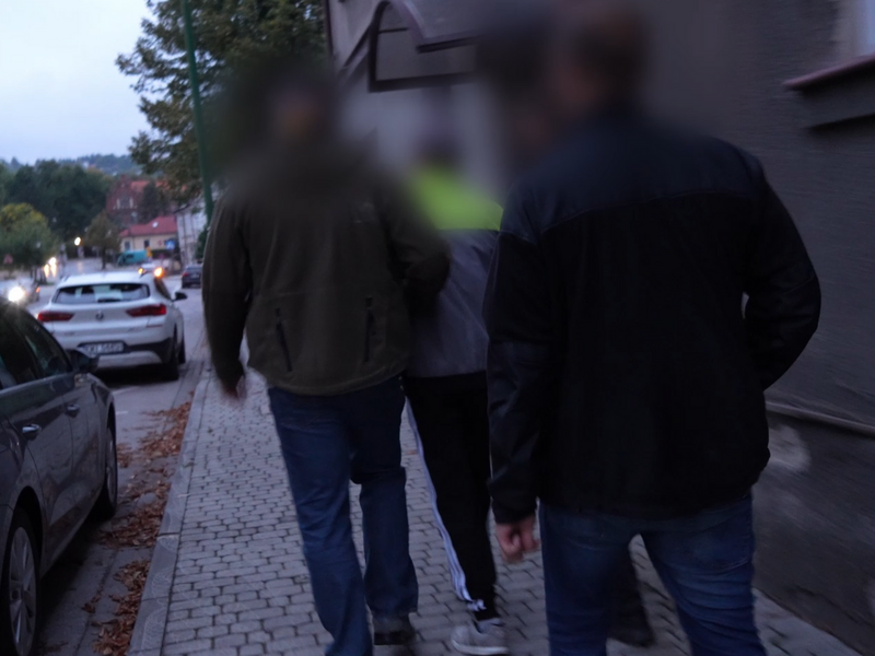 Wielka obława. Policja zatrzymała 193 osoby poszukiwane przez wymiar sprawiedliwości (video)