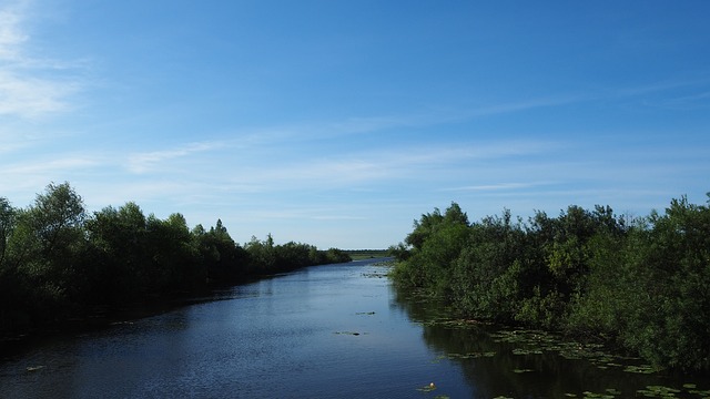 TOP 8 rodzinnych atrakcji w Elblągu <em>(art. partnera)</em>