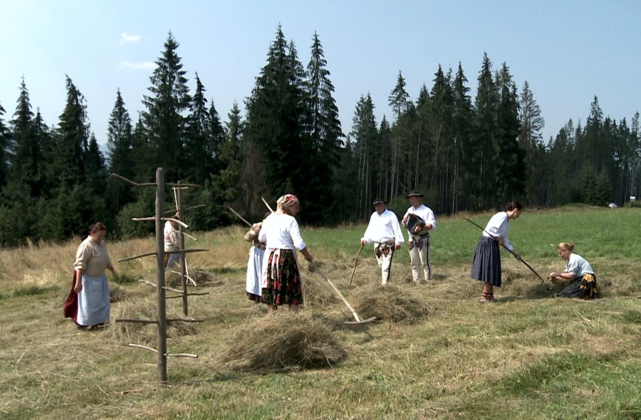 Dorobek artystyczny zespołów Podhala, Spisza i Orawy - sfilmowany