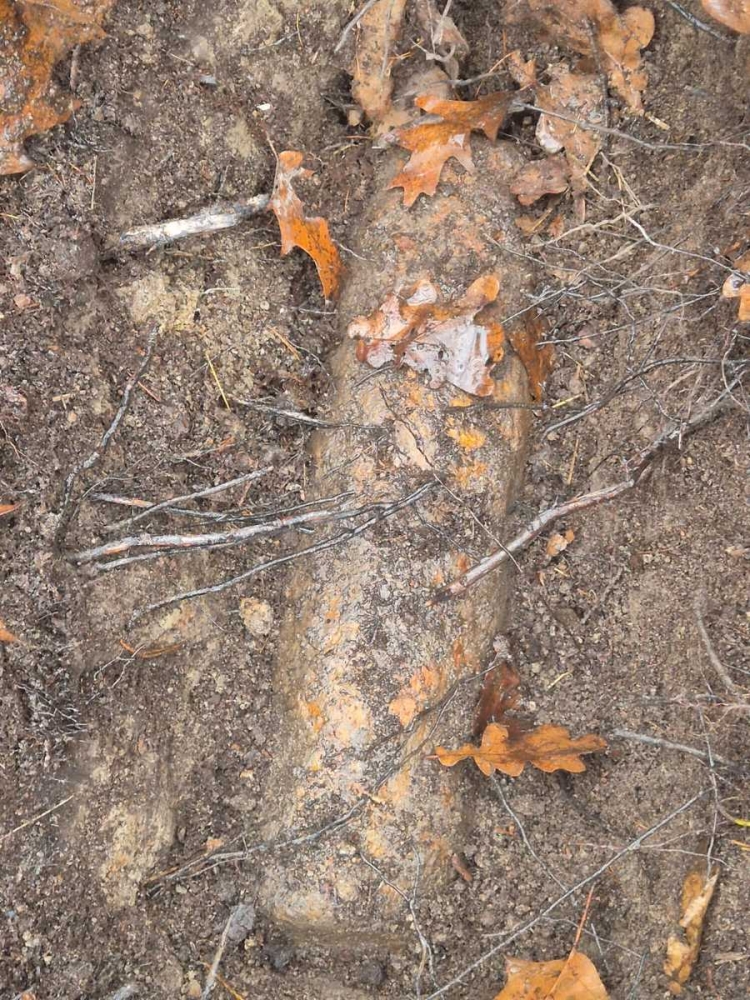 Niewybuch znaleziony w lesie