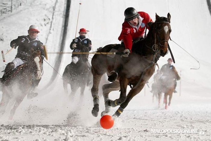 BMW Zakopane Snow Polo 2012 (2-5 lutego)
