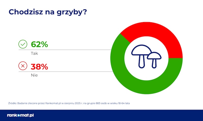 Grzybobranie: 38 proc. Polaków nie ciągnie do lasu, co piąty z nich boi się zatrucia