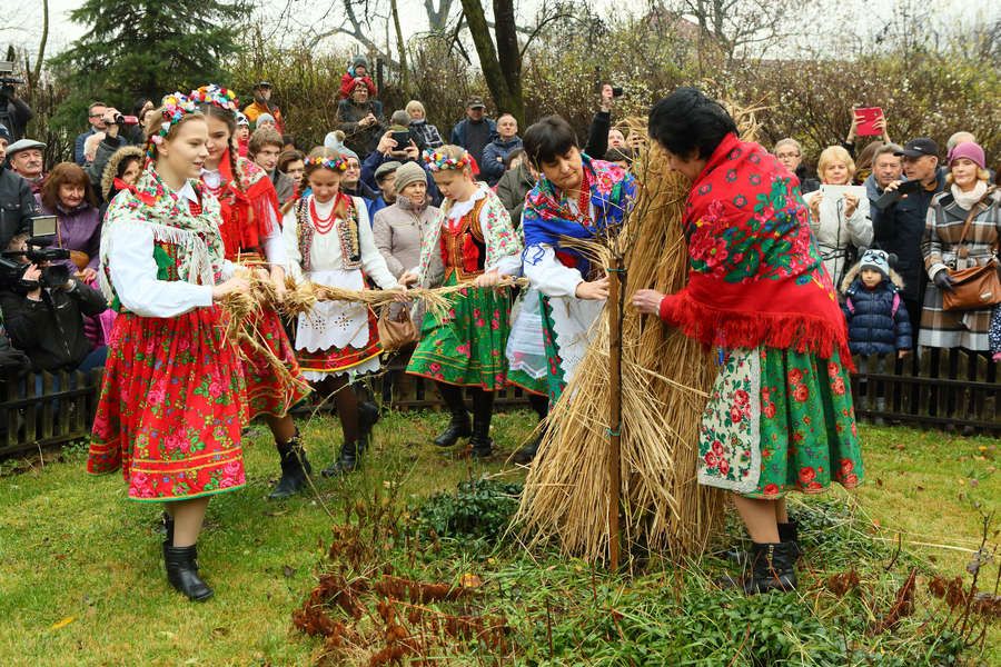 Osadzanie Chochoła 2016