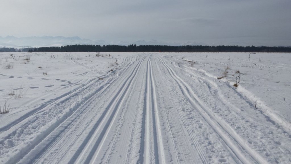 Narciarskie trasy biegowe gotowe. Czas podjąć decyzję o udziale w Biegu Podhalańskim (zap. filmowa)