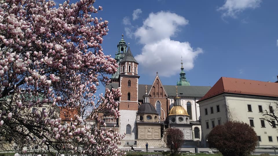 Zamek Królewski na Wawelu dostępny od 5 maja