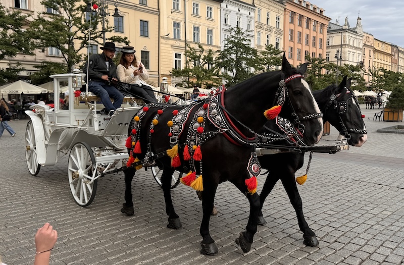 Dorożki nie trafią na listę UNESCO