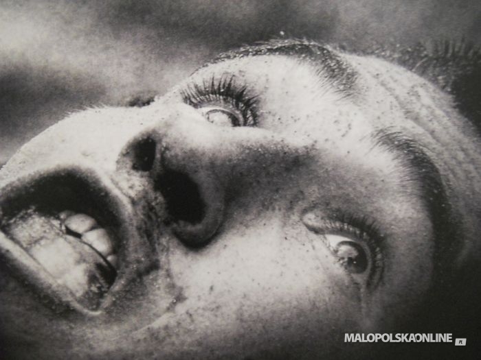 Zakończenie wystawy World Press Photo 2012(zdjęcia)
