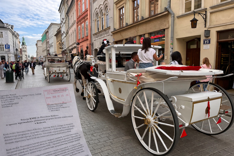 Petycja do Prezydenta. KSOZ chce dorożek elektrycznych