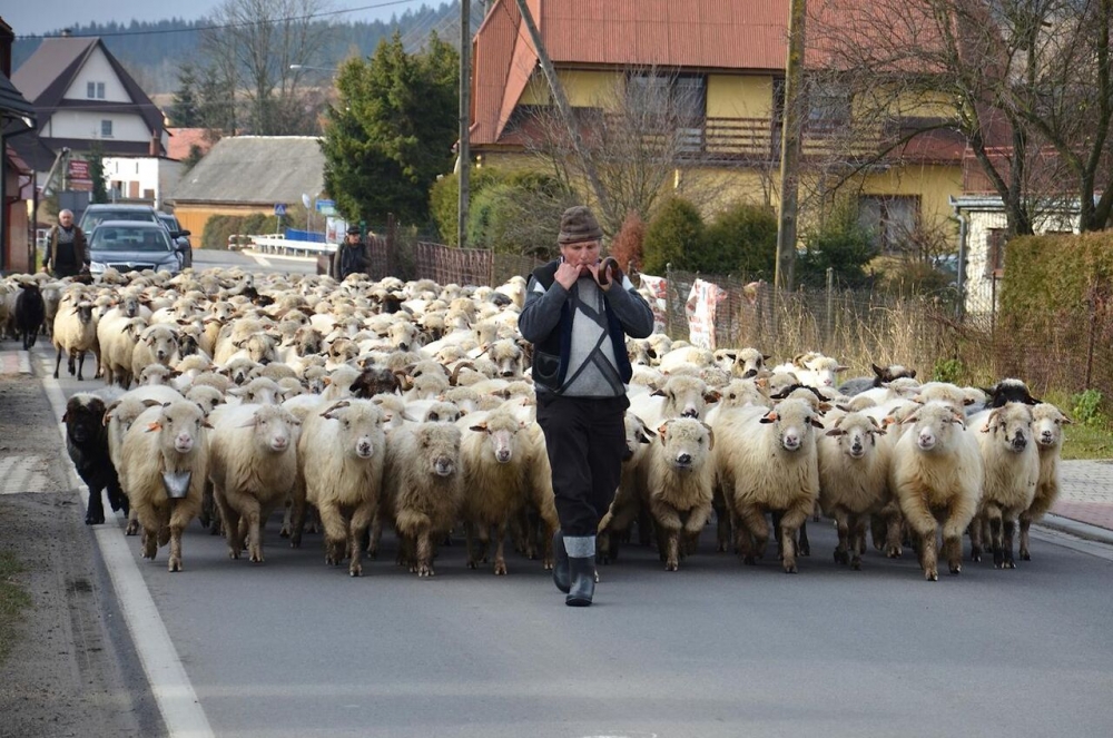 Orawski osod (zdjęcia)