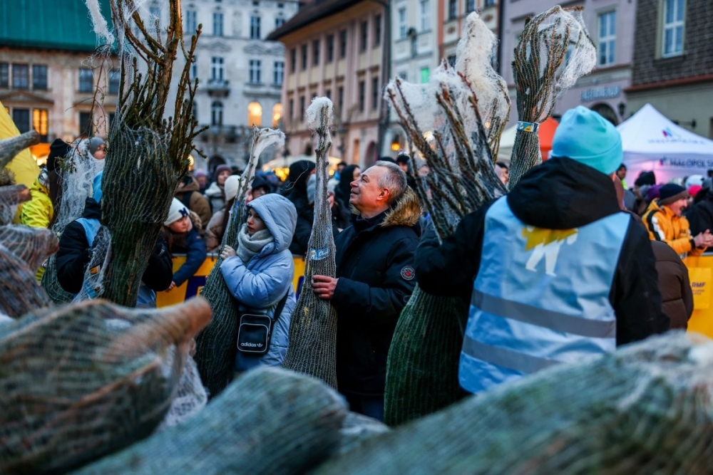 Rozdano tysiące choinek (zdjęcia)