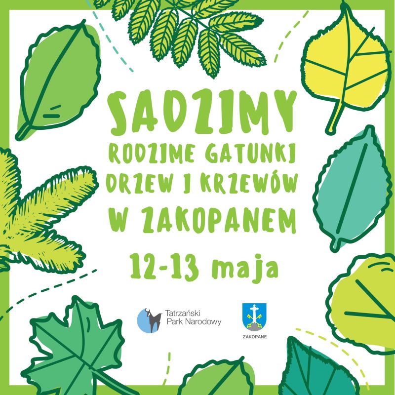 Akcja sadzenia rodzimych gatunków drzew