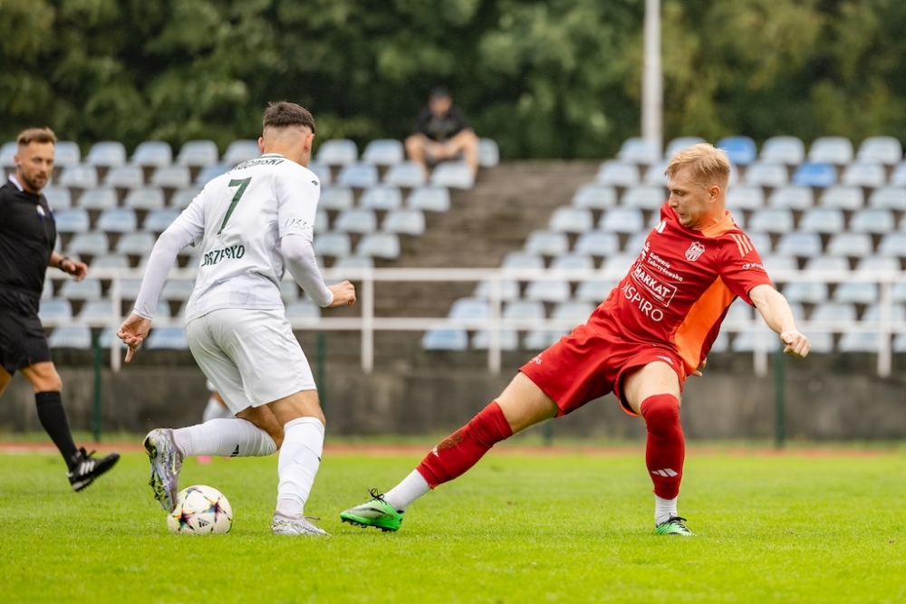 Kalwarianka zagra z młodymi Żubrami