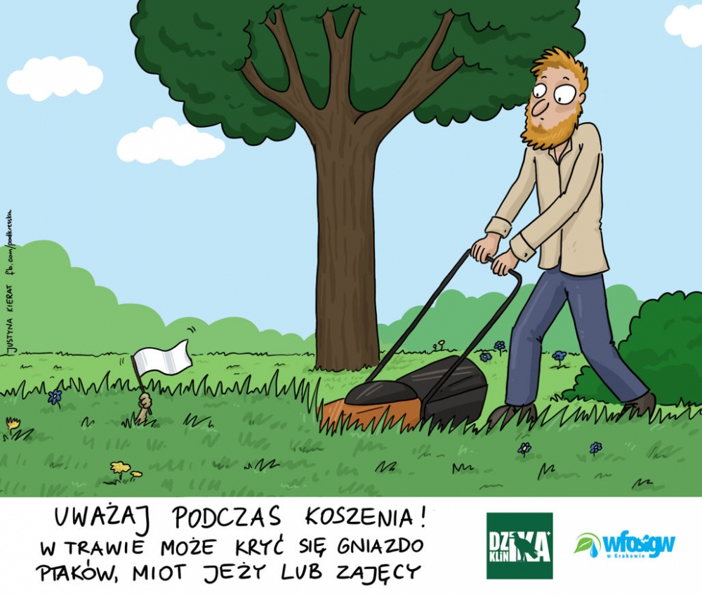 Akcja eko-Edukacja: Mordercza kosiarka