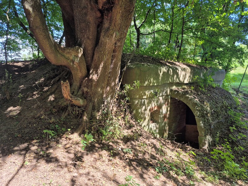 Wyjątkowa rekonstrukcja umocnień Fortu Tonie