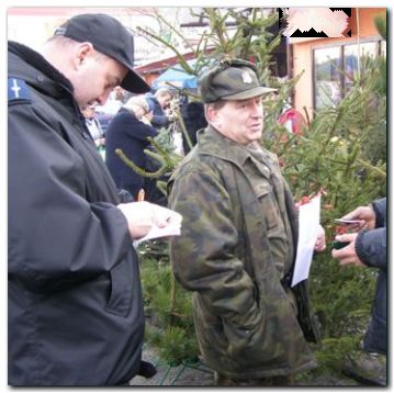 Kontrole choinek