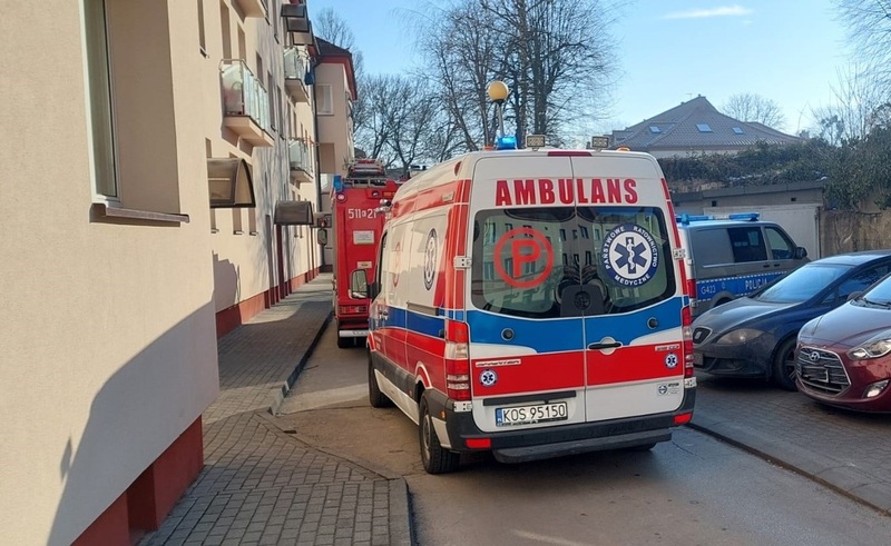 Czterolatek na parapecie okna