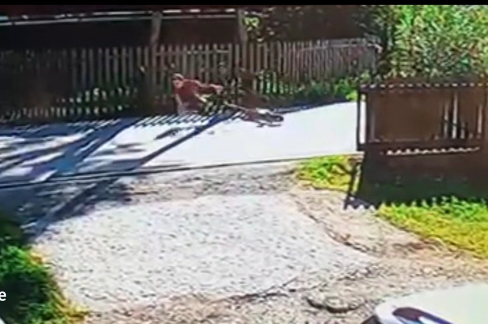 O krok od nieszczęścia (video)