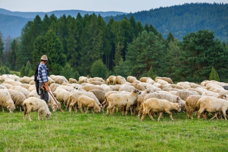Małopolski wypas kulturowy po raz piąty