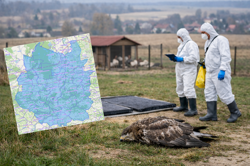 zdjęcie ilustracyjne, wai