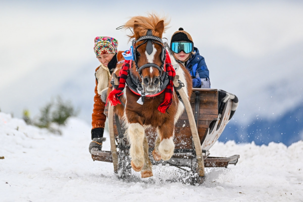 fot. Marcin Szkodziński