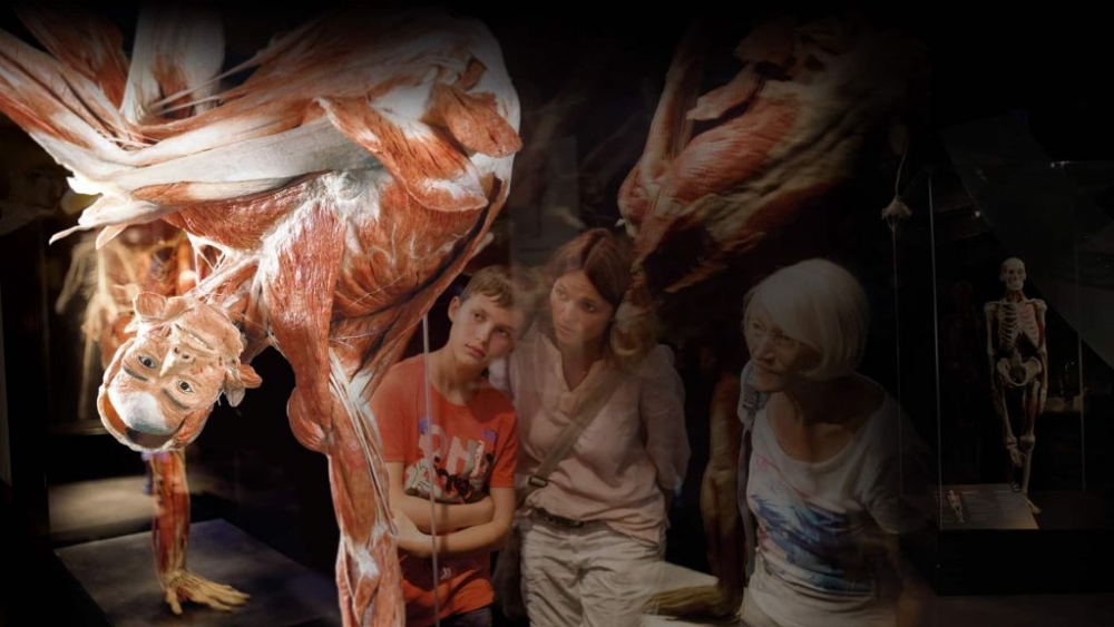 Dzięki wystawie BODY WORLDS żyjemy zdrowiej!