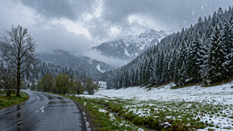 zdjęcie ilustracyjne, wai