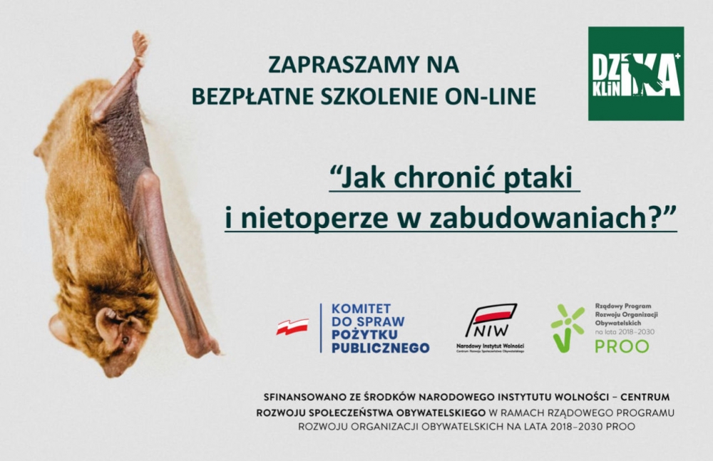 Zaproszenie na bezpłatne szkolenie on-line 