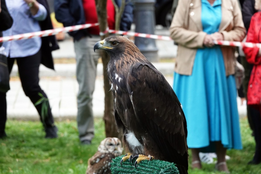 XIII Hubertus Krynicki – Święto myśliwych i miłośników przyrody w Krynicy-Zdroju (zdjęcia)