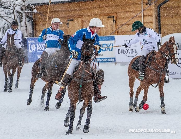 Bukovina Polo Snow Masters 2013 (zdjęcia)