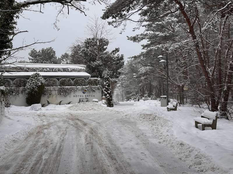 Nadciąga silna fala mrozu. Nocami nawet minus 20 stopni, możliwe zamiecie śnieżne