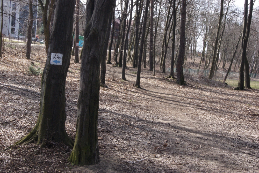 Powstał pomysł na stworzenie Parku Olkuszan