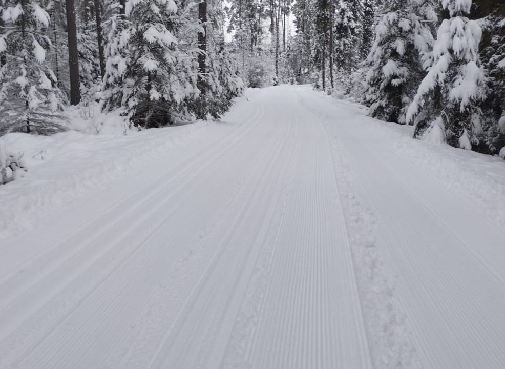 Raz, dwa, trzy - sezon na biegówki rozpoczęty!