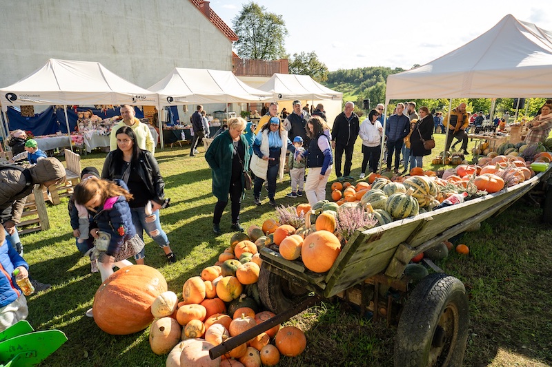 Święto Dyni. Jesień w klimacie country, lokalne smaki i konkurs na największą dynię