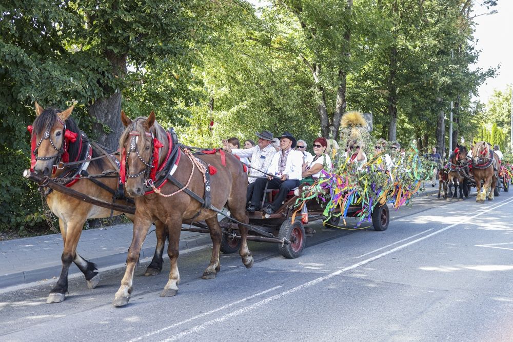 Stulecie Dożynek Reymontowskich (zdjęcia)