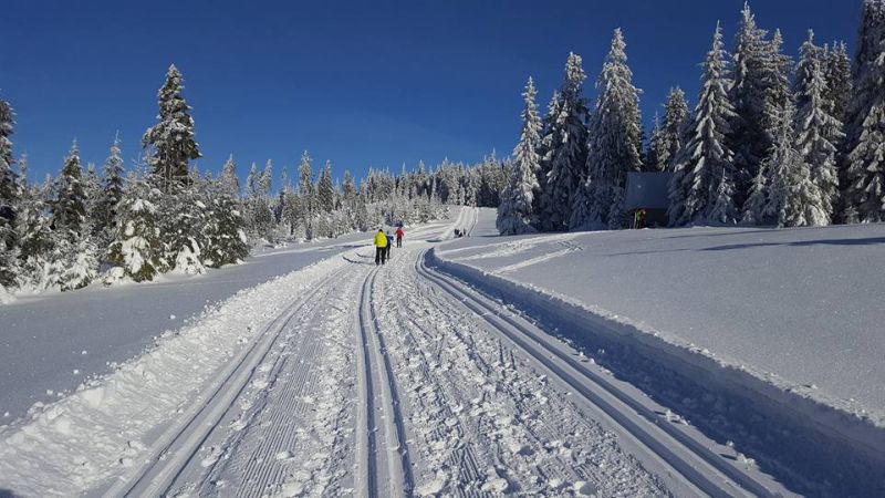 Działają już trasy narciarstwa biegowego w Obidowej