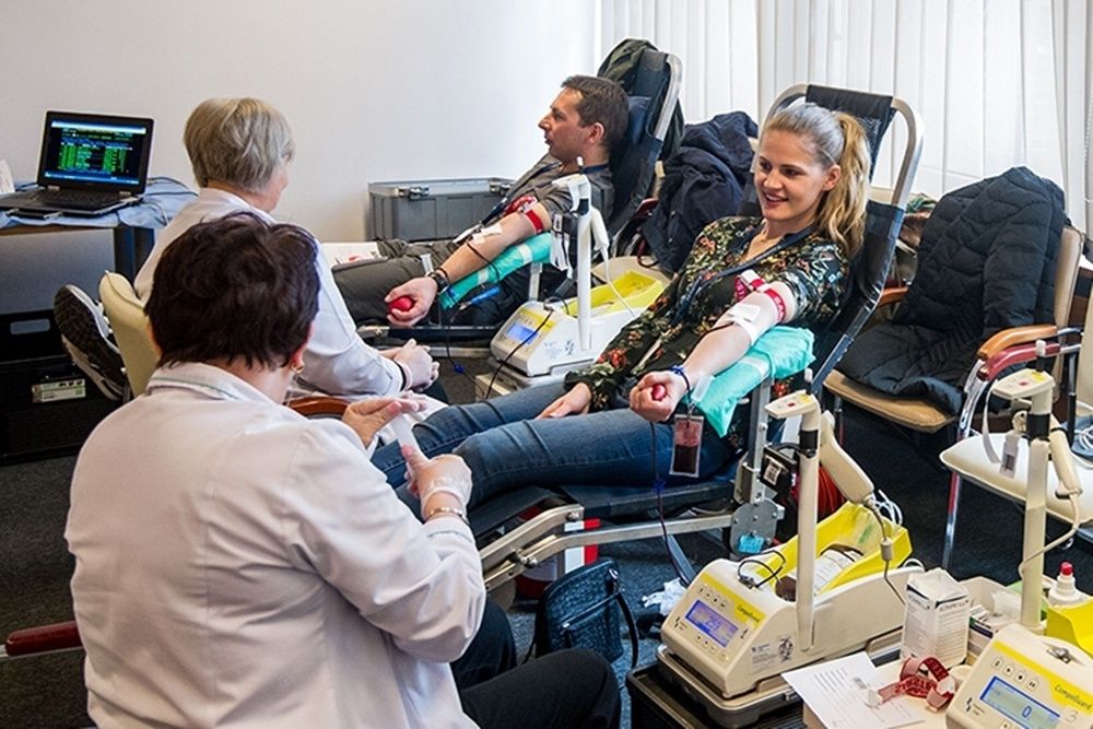 Oddano prawie 29 litrów krwi