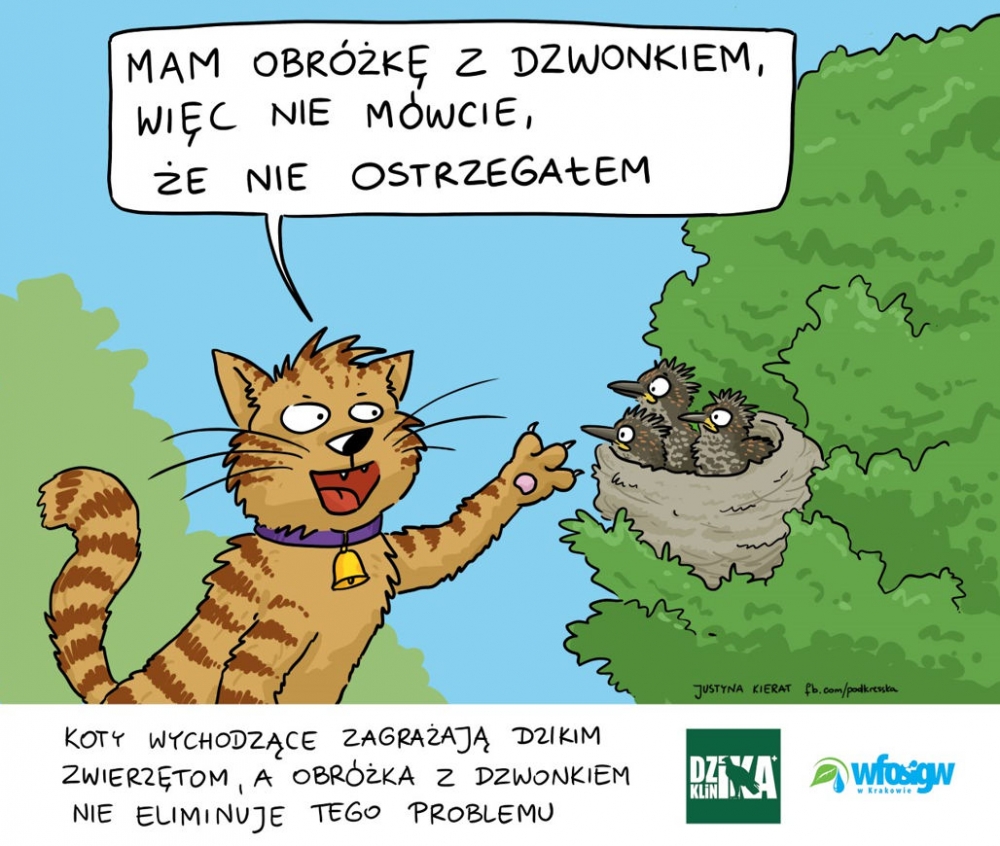 Akcja eko-Edukacja: Kot domowy – milusiński mruczek czy bezwzględny zabójca?